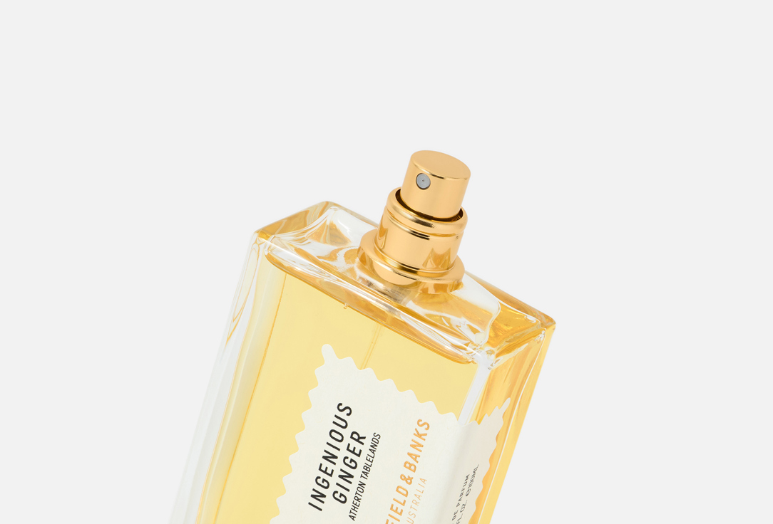 GOLDFIELD & BANKS INGENIOUS GINGER
